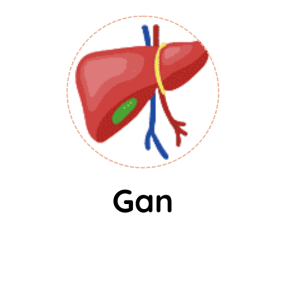 gan